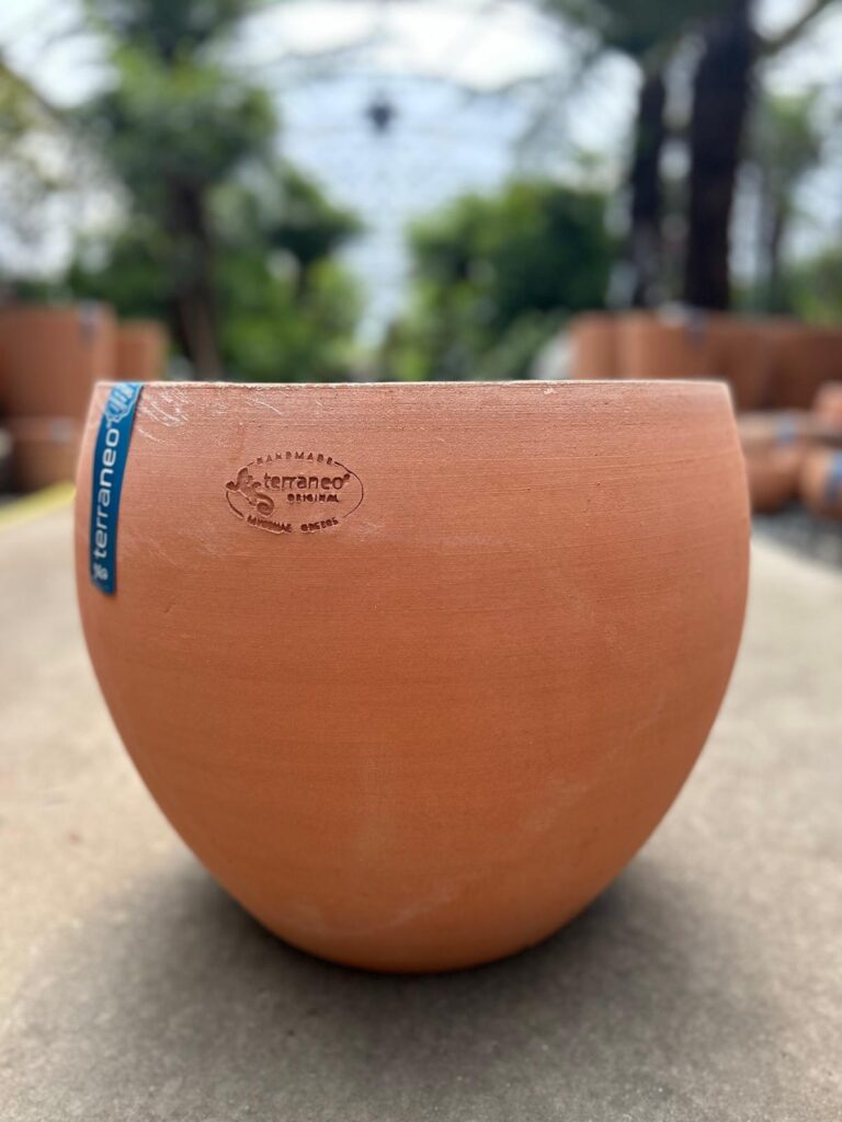 Terraneo Dego Terracotta Pot - Image 4