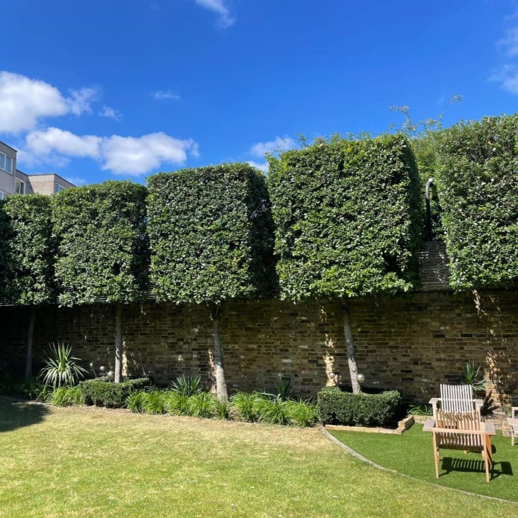Topiary Inspiration Mood Board