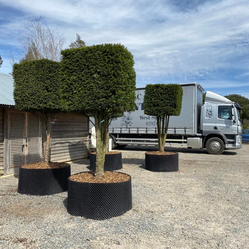 Topiary Inspiration Mood Board