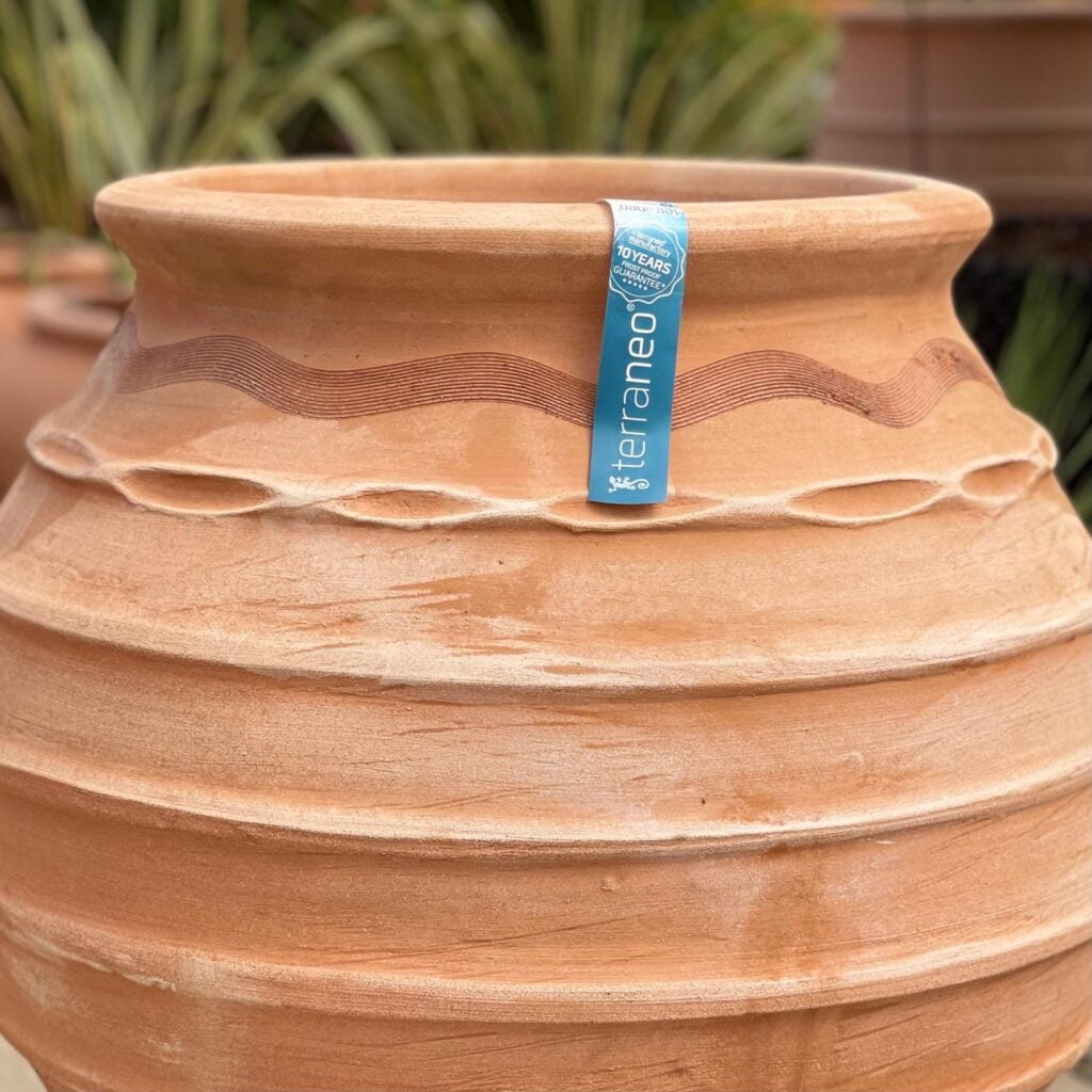 Terraneo Koronios Terracotta Pot - Image 6
