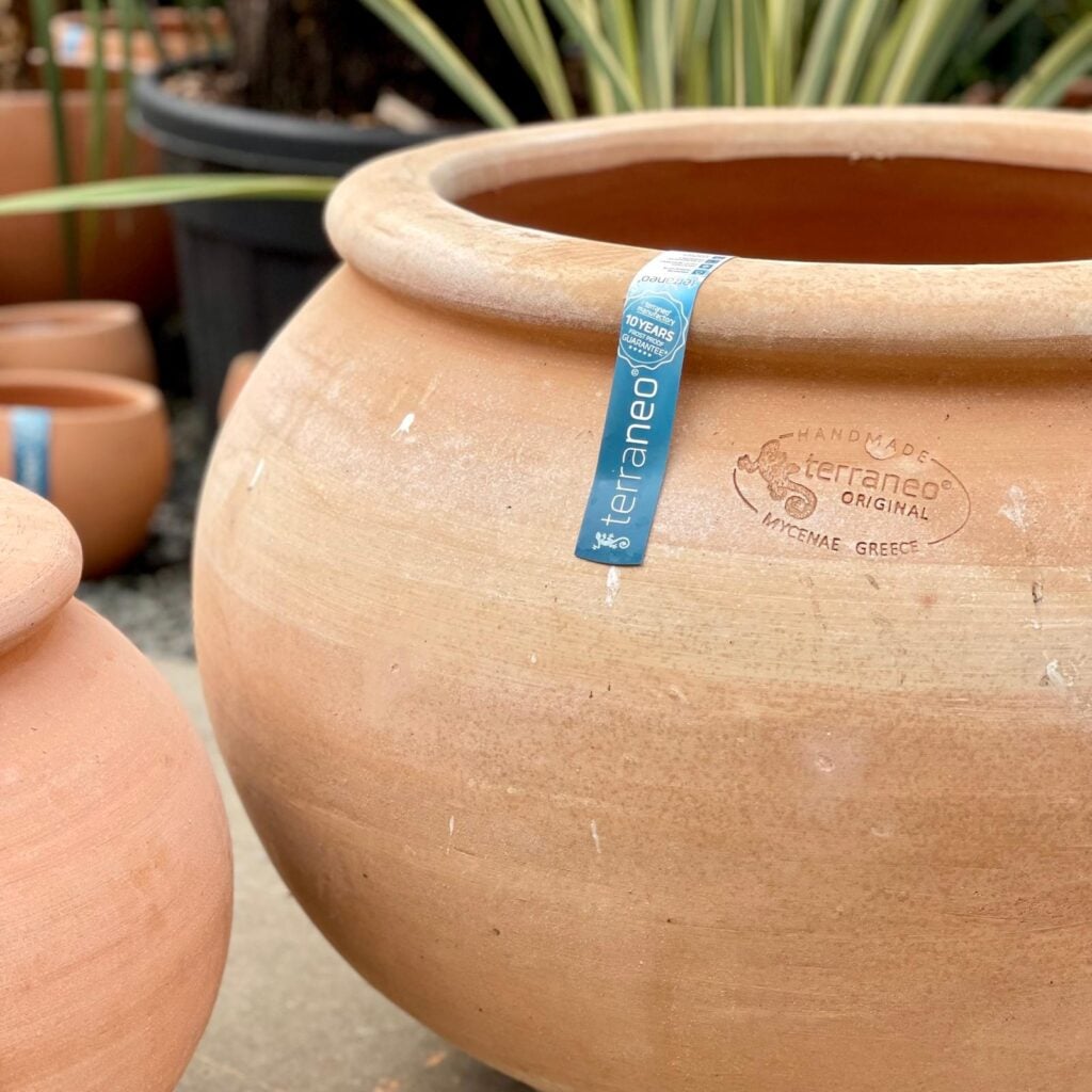 Terraneo Eleni Terracotta Pot - Image 7