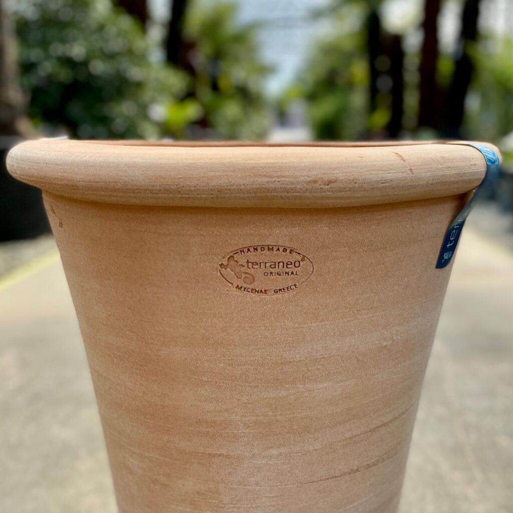 Terraneo Fondi Terracotta Pot - Image 2