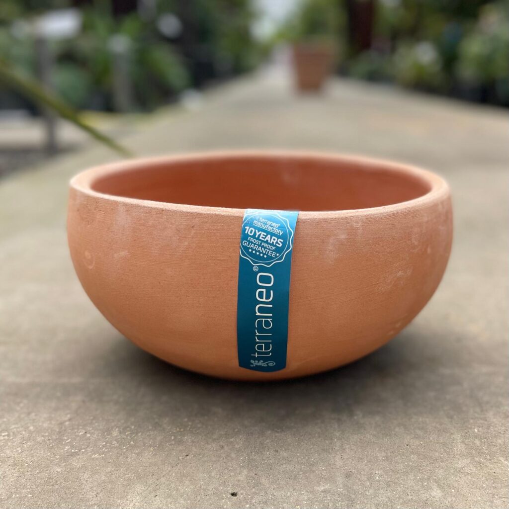 Terraneo Recco Terracotta Pot - Image 3