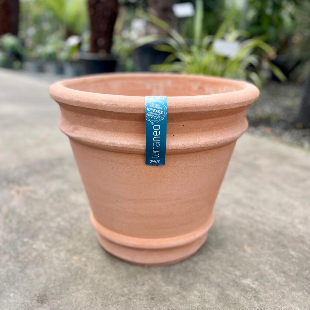 Terraneo Monachou Terracotta Pot - Image 3