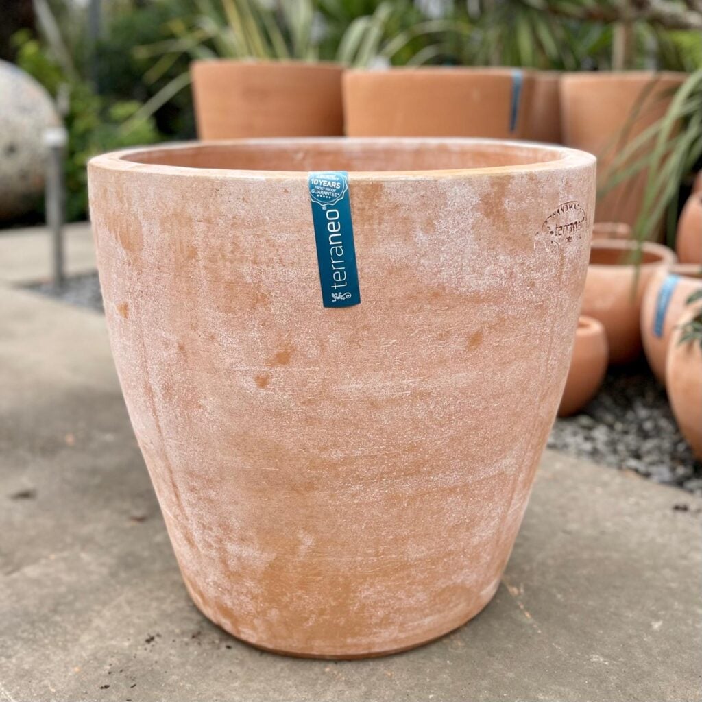 Terraneo Faro Terracotta Pot - Image 5