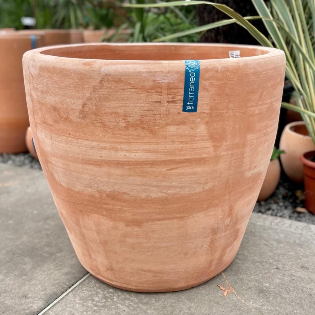 Terraneo Faro Terracotta Pot - Image 7