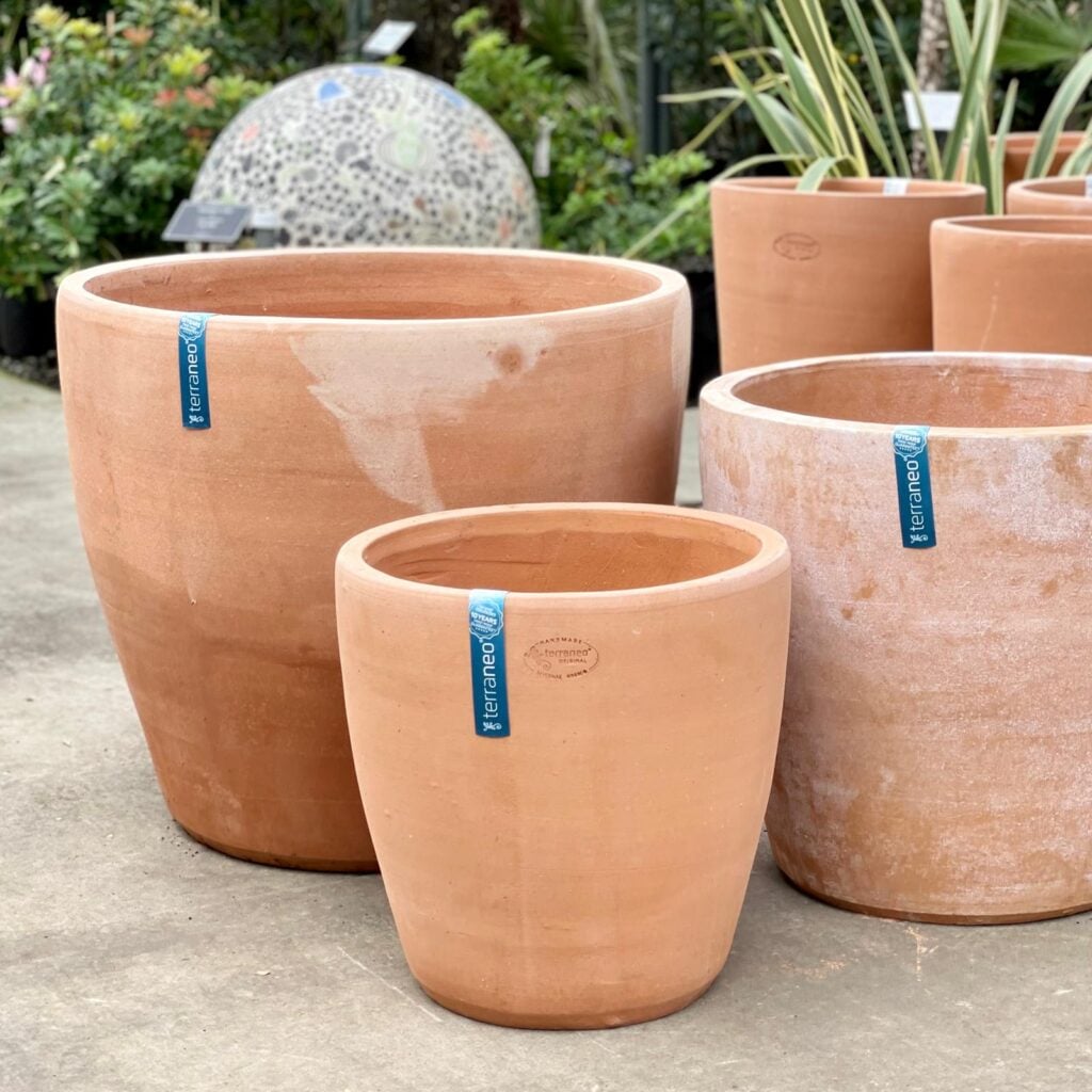 Terraneo Faro Terracotta Pot - Image 4