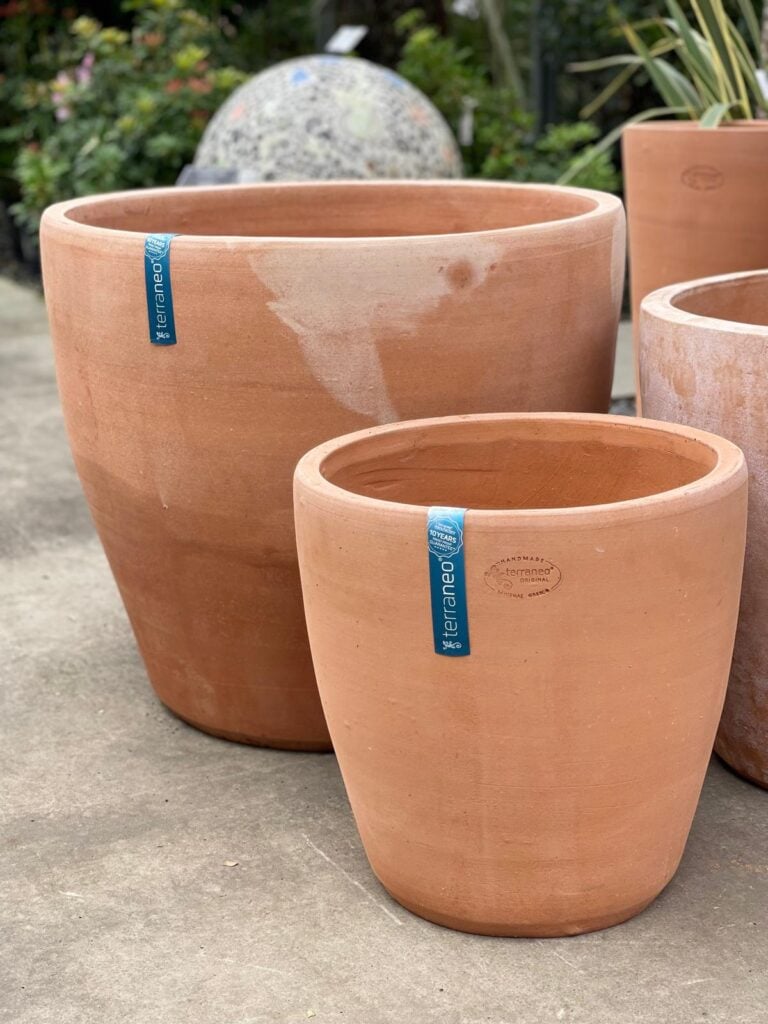 Terraneo Faro Terracotta Pot - Image 2