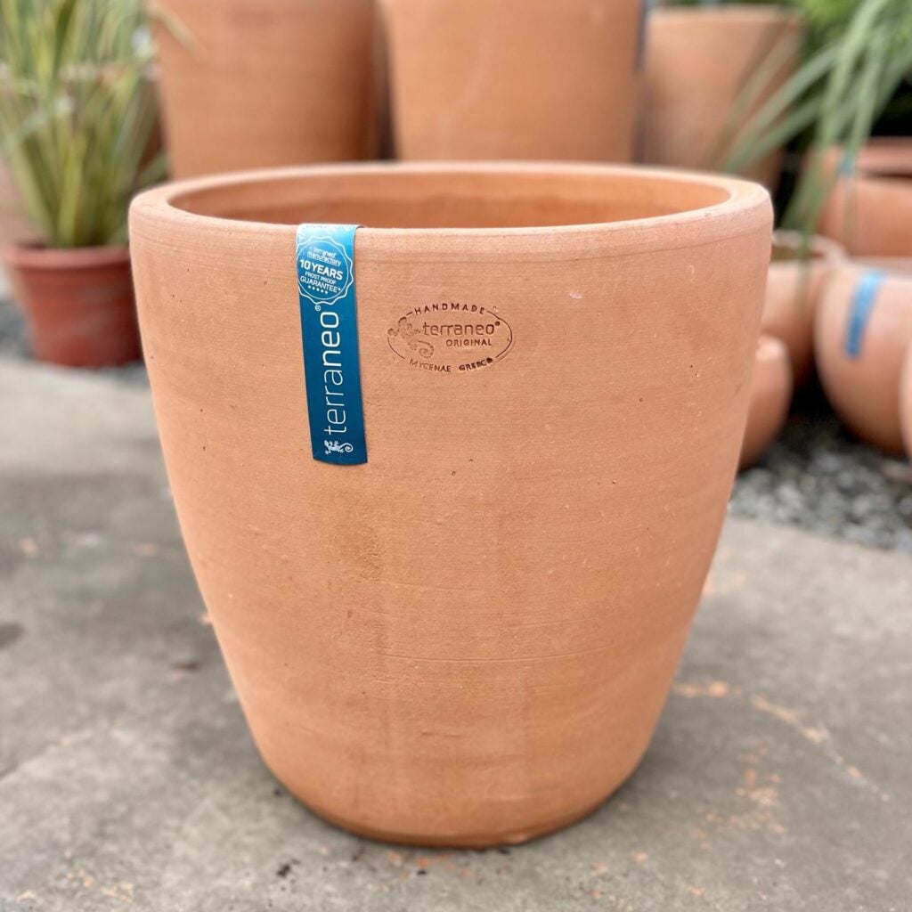 Terraneo Faro Terracotta Pot - Image 6