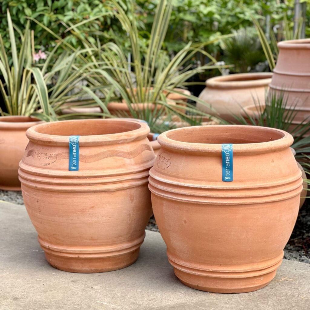 Terraneo Zonarati Terracotta Pot