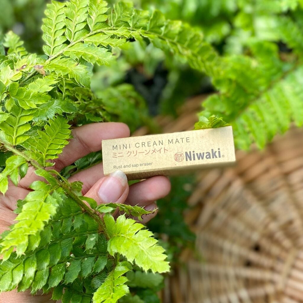 Niwaki Mini Clean Mate
