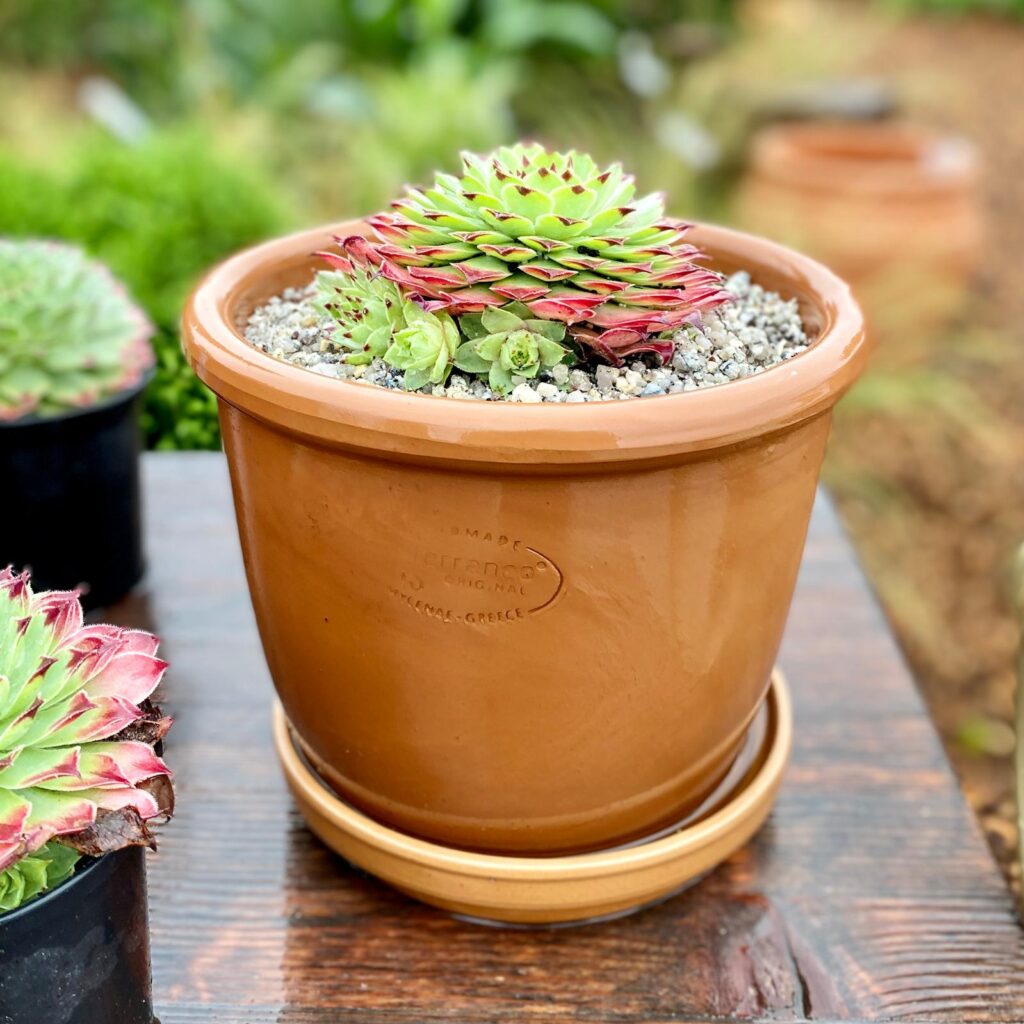 Pots Inspiration Mood Board