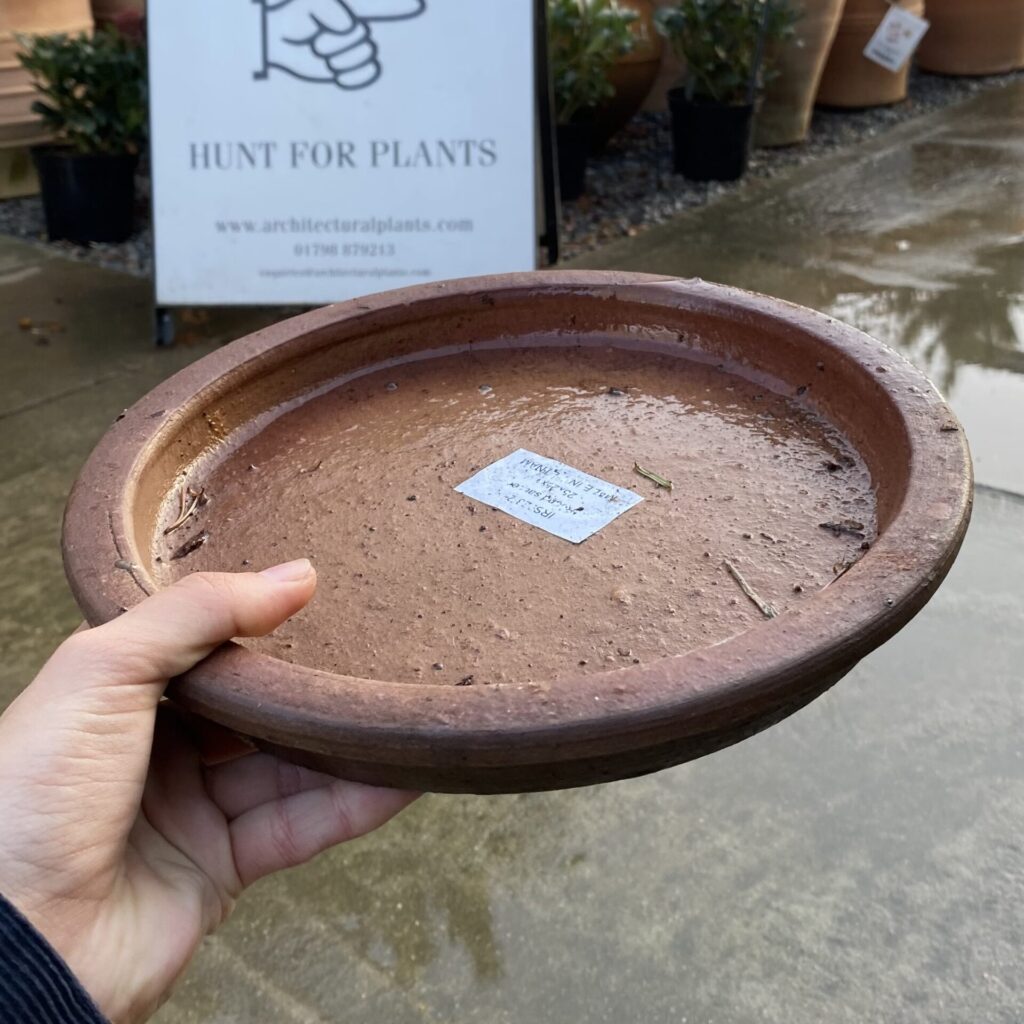 Ironstone Round Saucer - Image 4