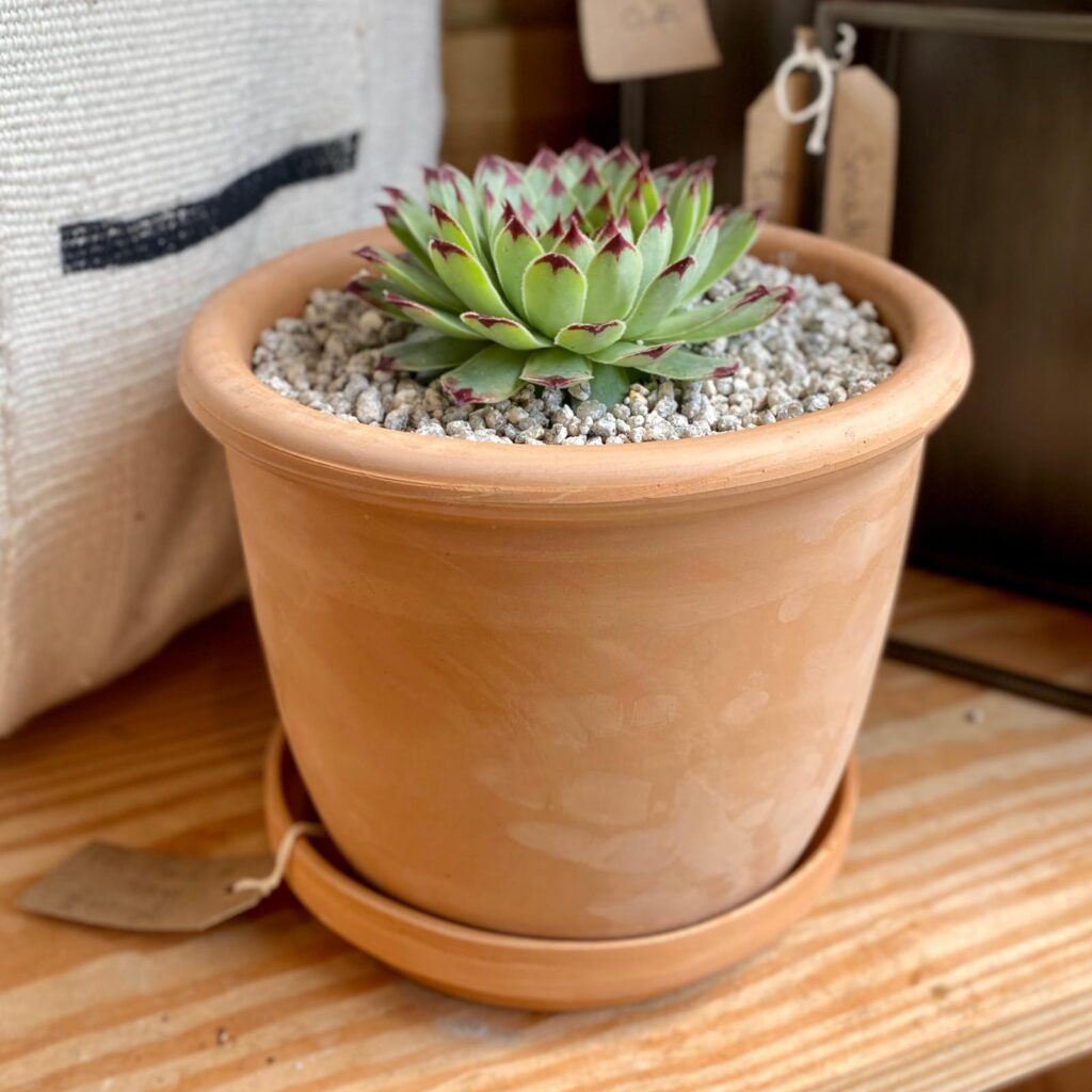 Pots Inspiration Mood Board