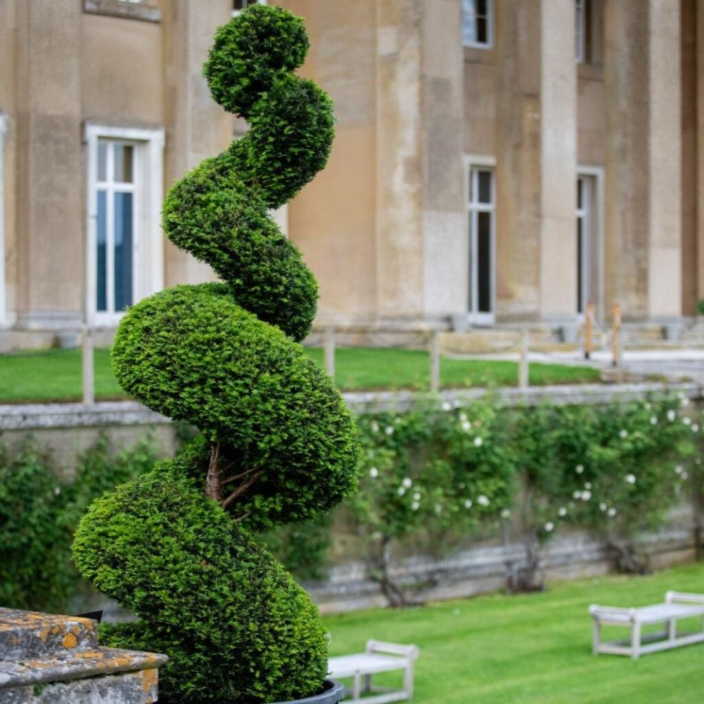 Topiary Inspiration Mood Board