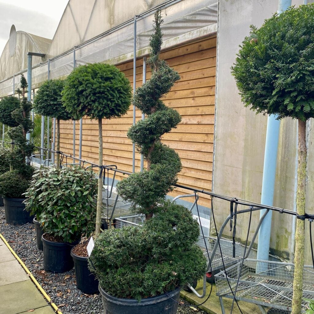 Topiary Inspiration Mood Board