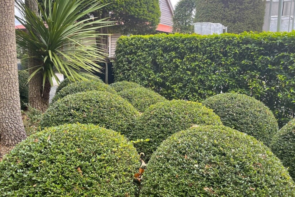 Topiary Inspiration Mood Board