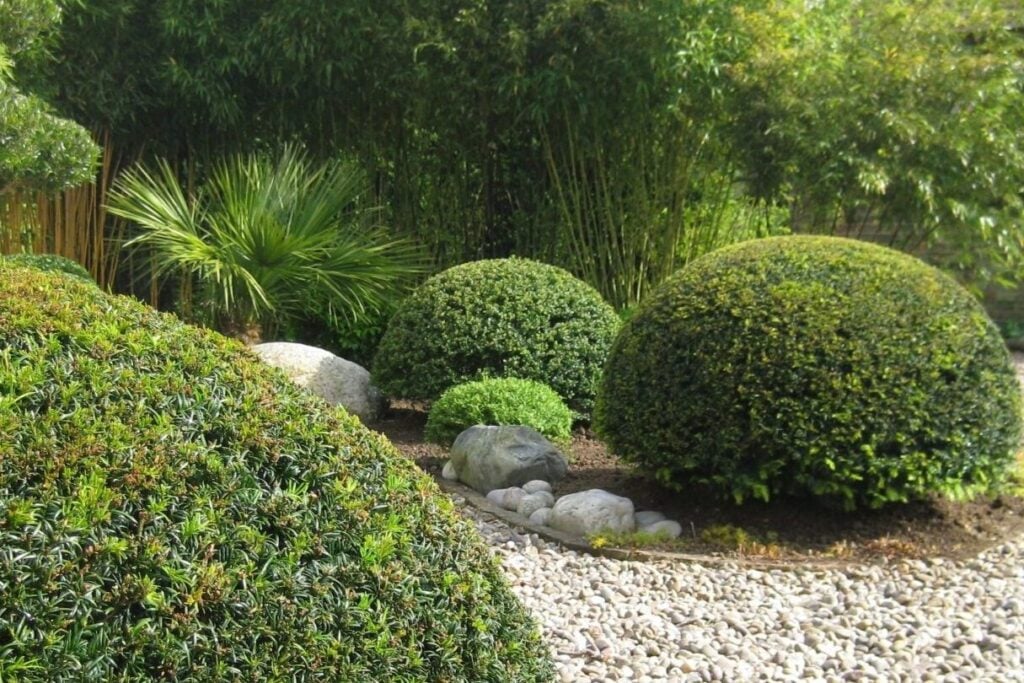 Topiary Inspiration Mood Board