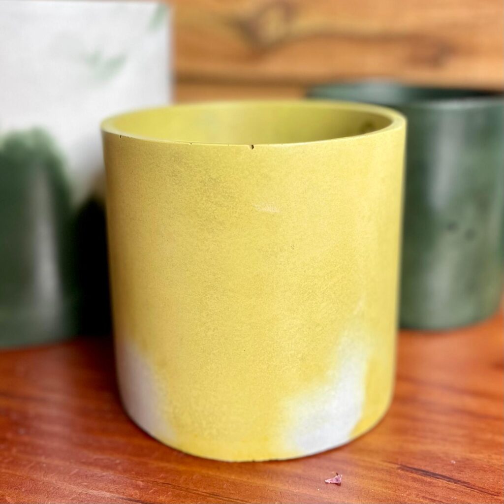 Concrete Indoor Pots - Image 4
