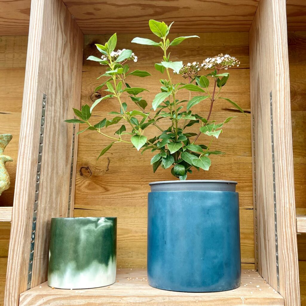 Concrete Indoor Pots - Image 14