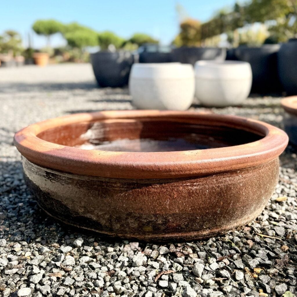 Yakuta Jilin Bowls