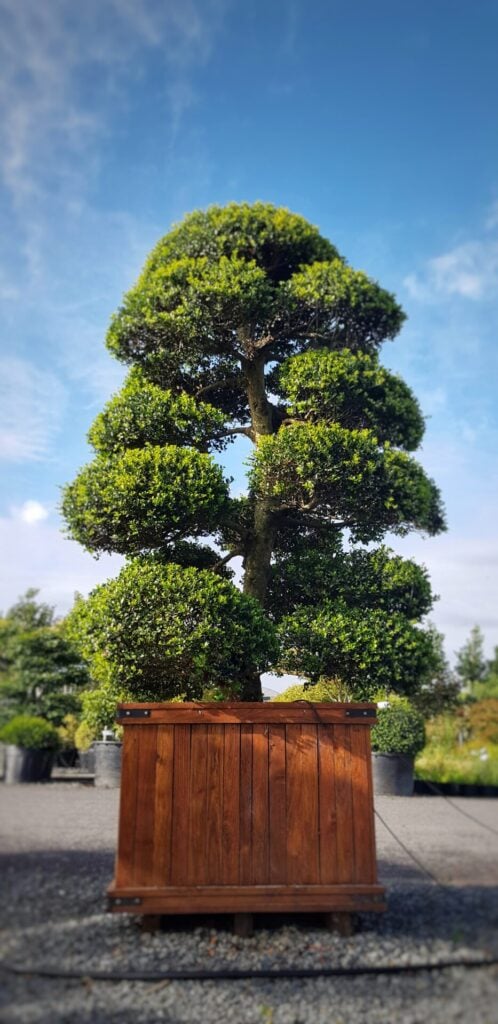 Topiary Inspiration Mood Board
