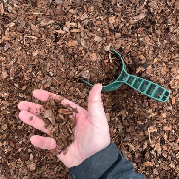 Melcourt Pine Mini Mulch