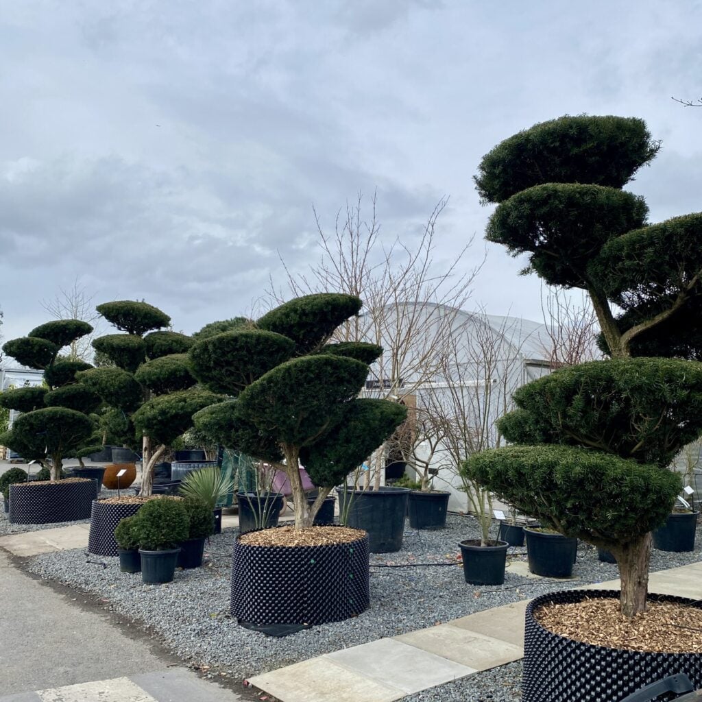 Topiary Inspiration Mood Board