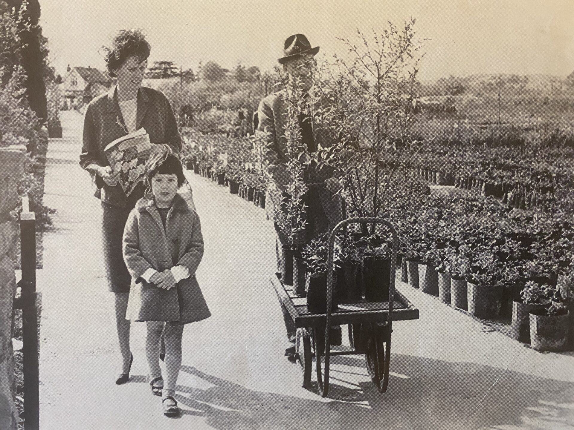 The Canned-Plant Nursery: by A.G.L Hellyer 1963