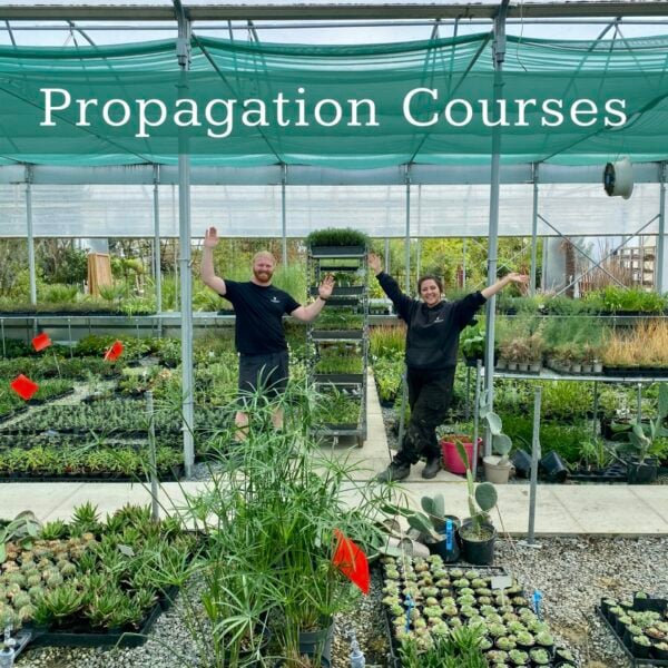 Homegrown Propagation Course : Thursday 15th April 2026