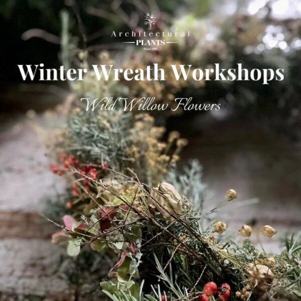 Winter Wreath Workshops