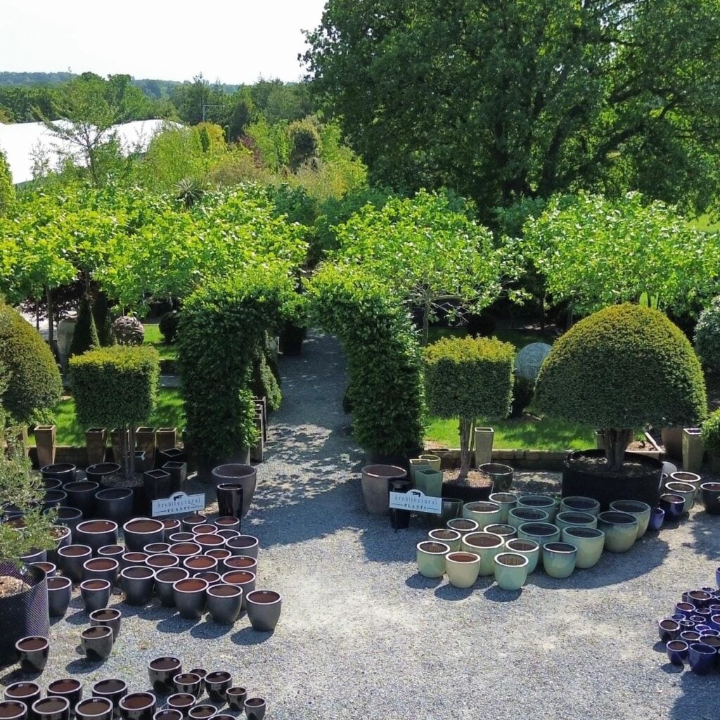 Topiary Inspiration Mood Board