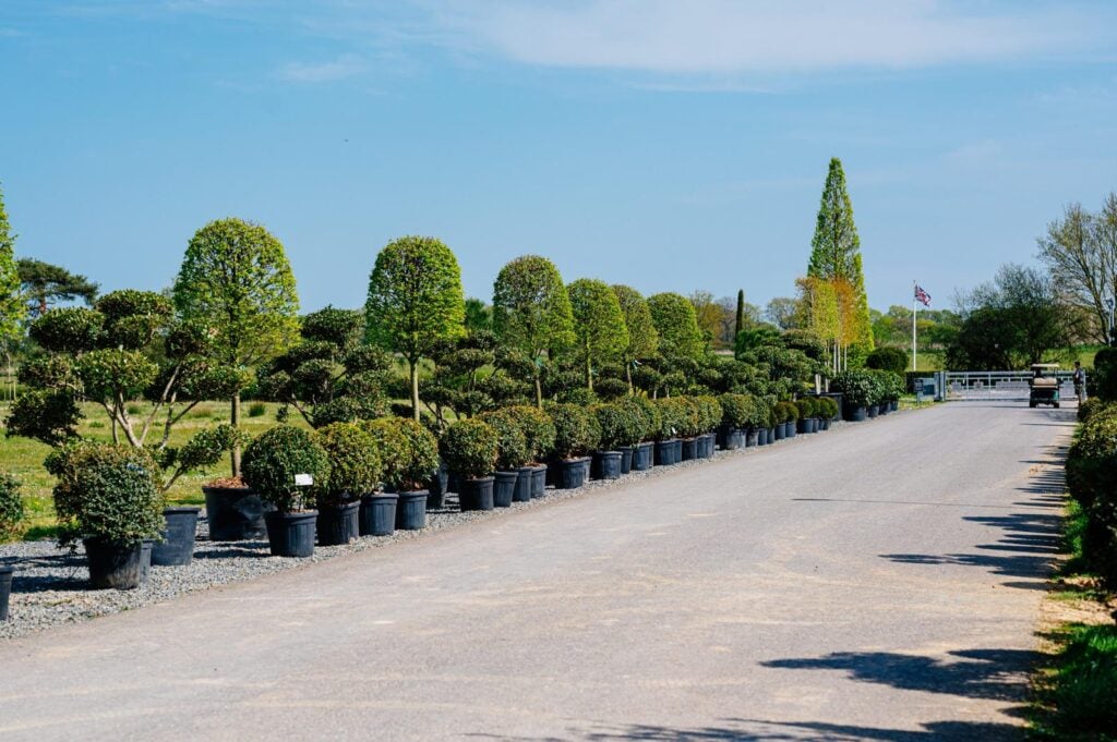 Topiary Inspiration Mood Board