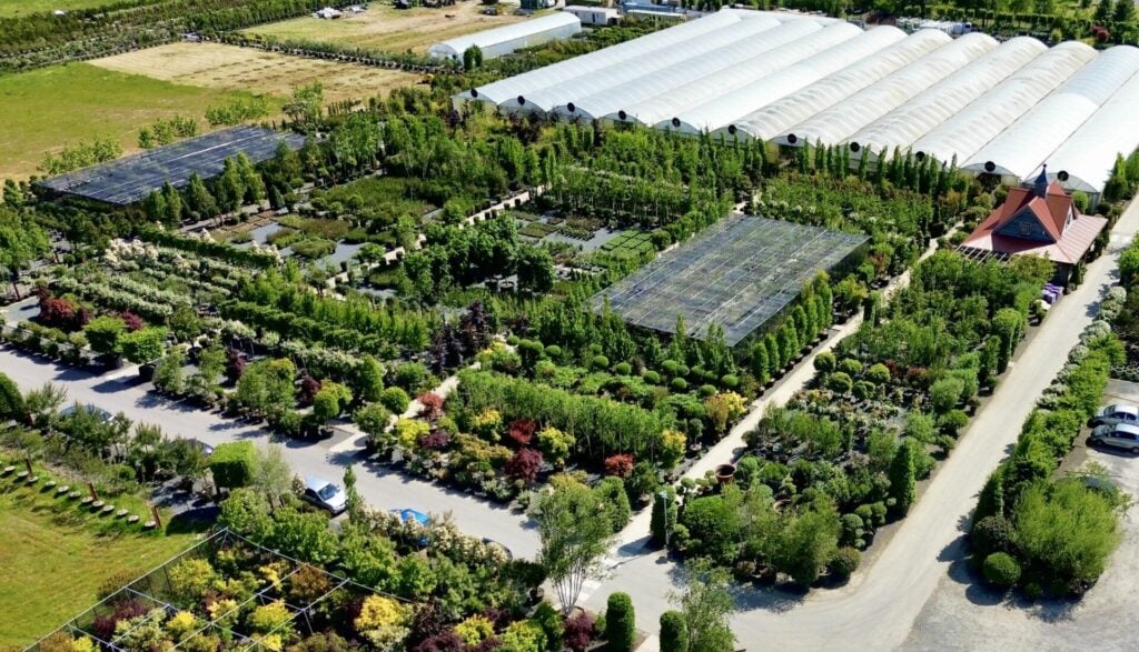 Trade Customers | Architectural Plants