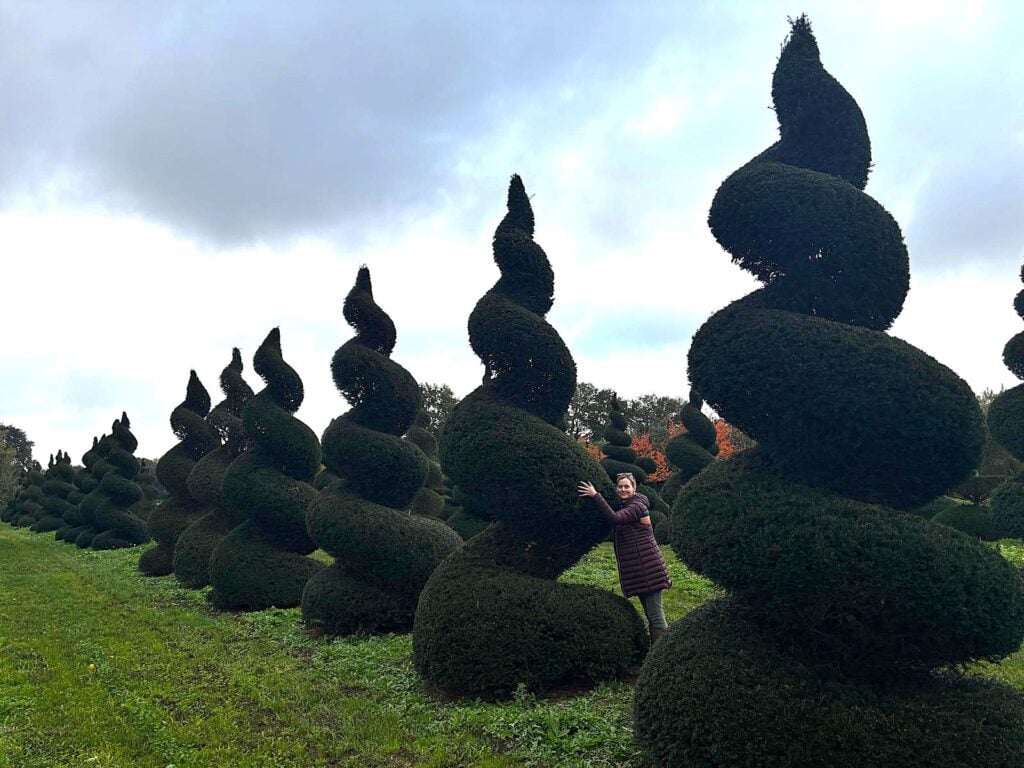 Topiary Inspiration Mood Board