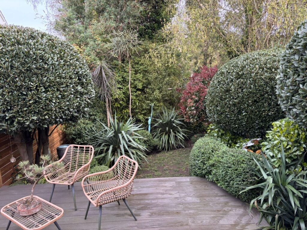 Screening & Hedging Inspiration Mood Board