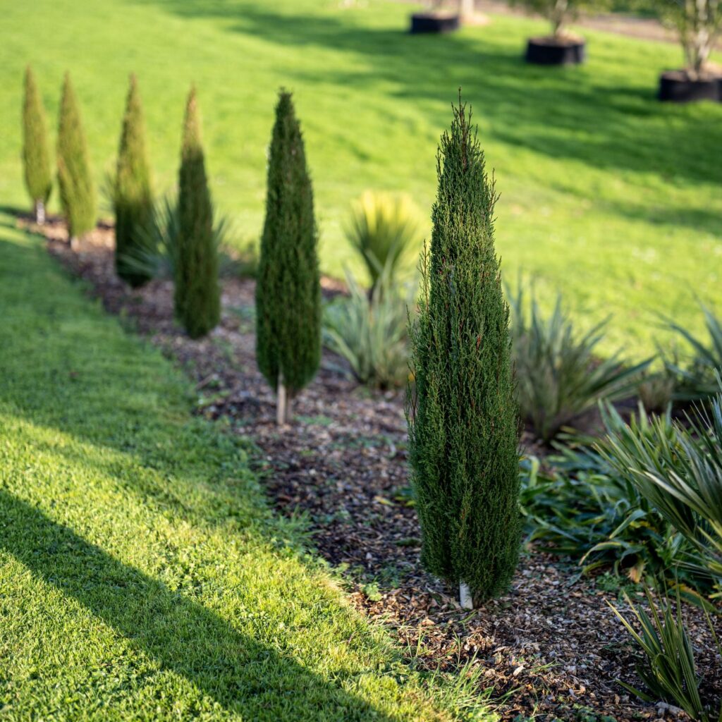 Topiary Inspiration Mood Board
