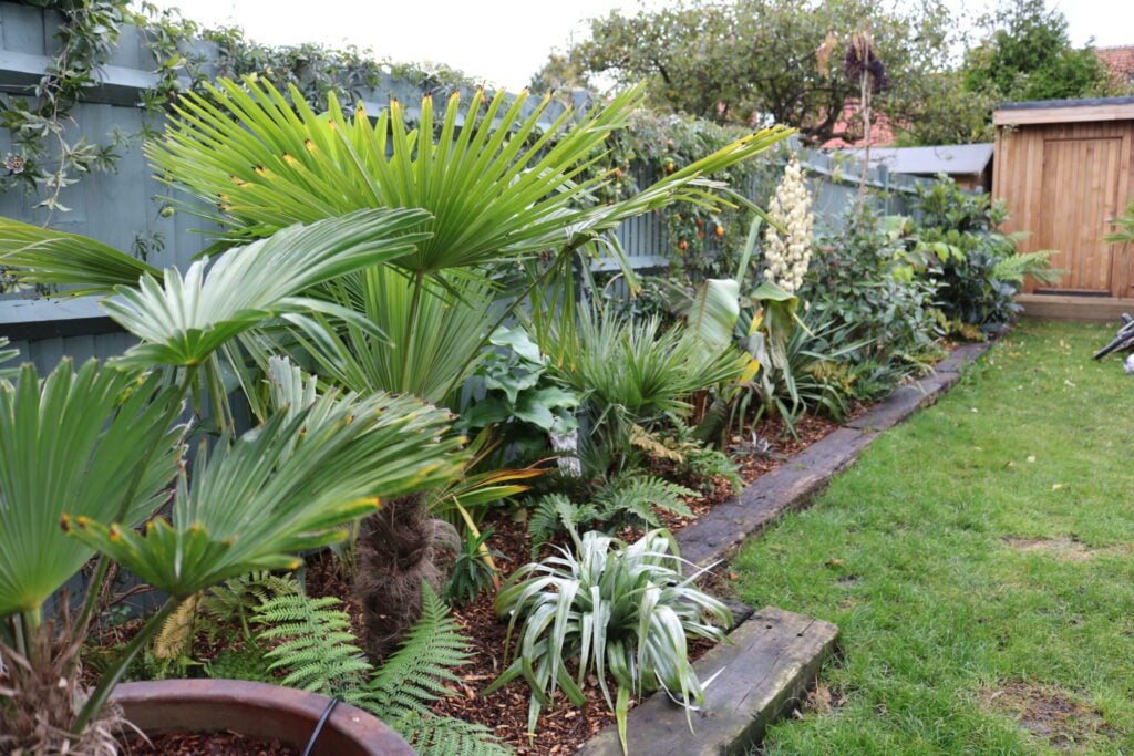 Tropical & Exotic Inspiration Mood Board