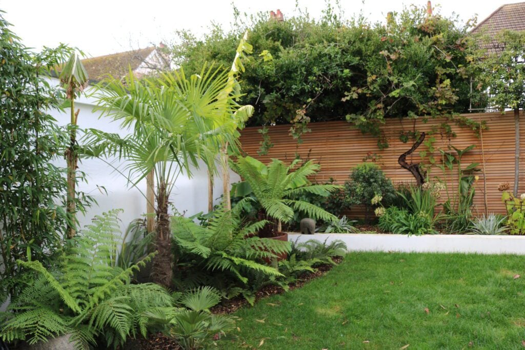 Tropical & Exotic Inspiration Mood Board