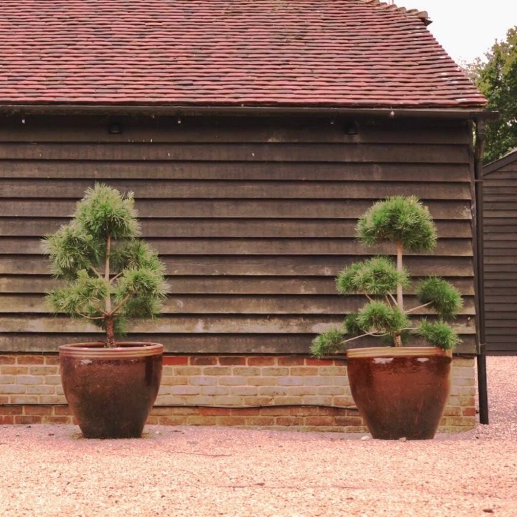 Pots Inspiration Mood Board