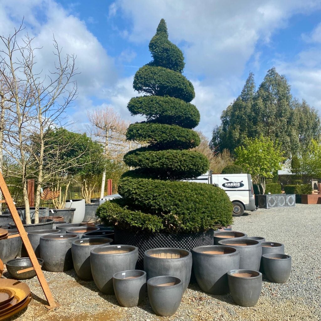 Topiary Inspiration Mood Board
