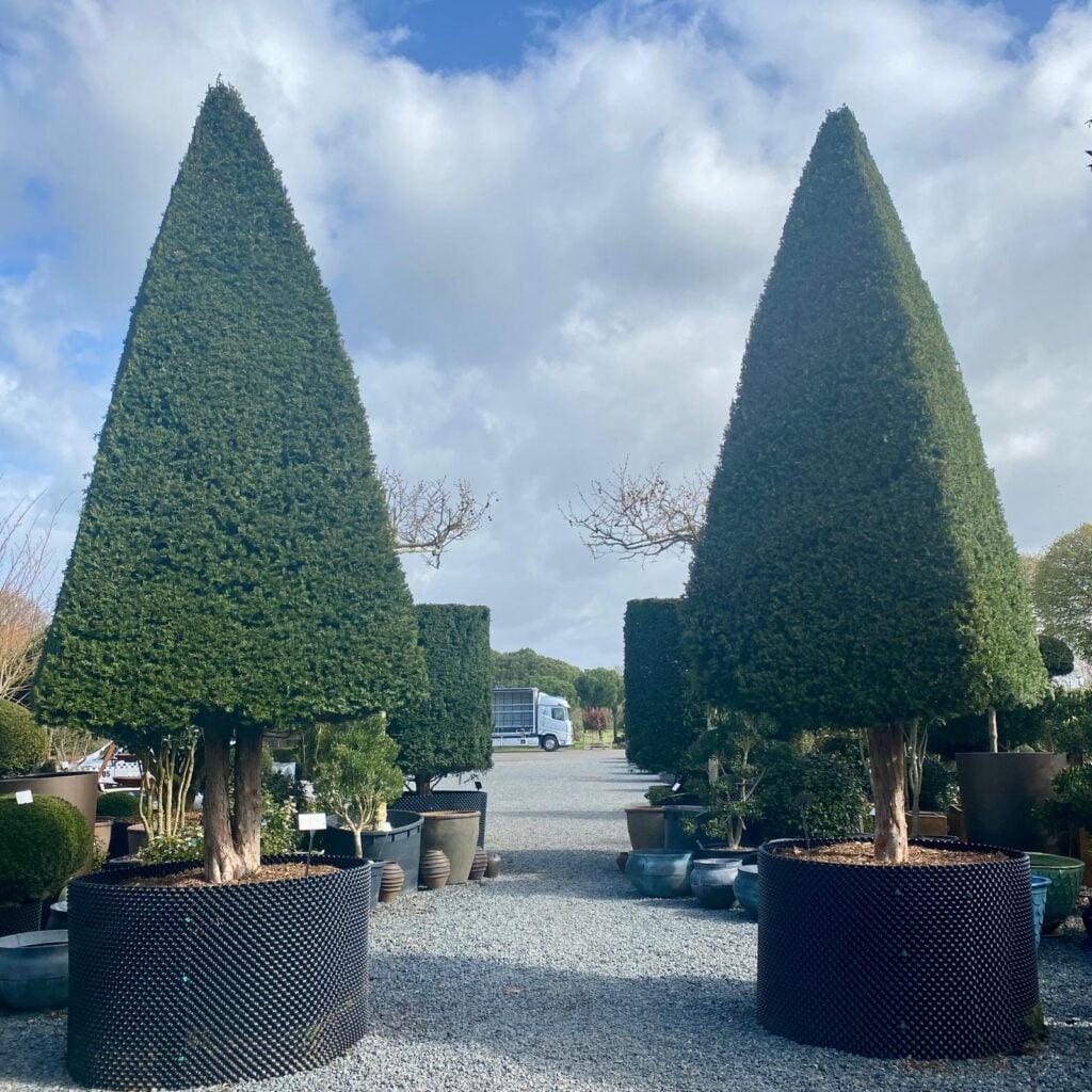 Topiary Inspiration Mood Board