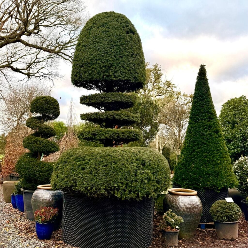 Topiary Inspiration Mood Board