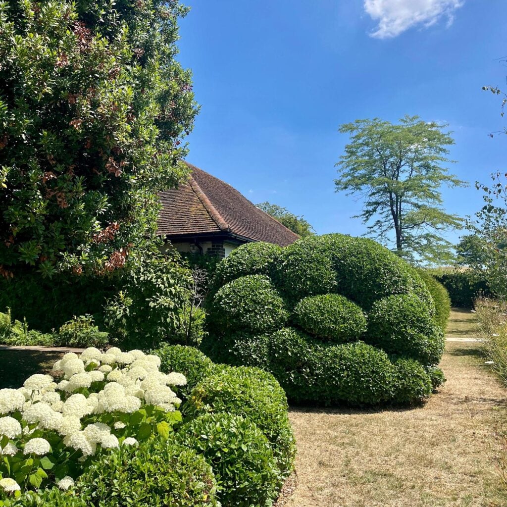 Topiary Inspiration Mood Board