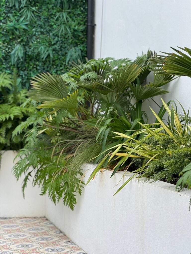 Tropical & Exotic Inspiration Mood Board