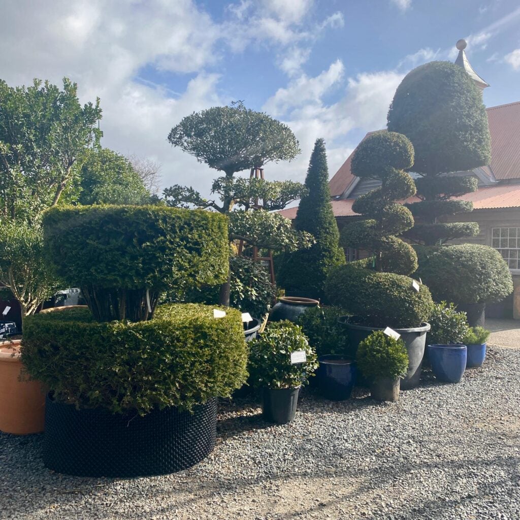 Topiary Inspiration Mood Board