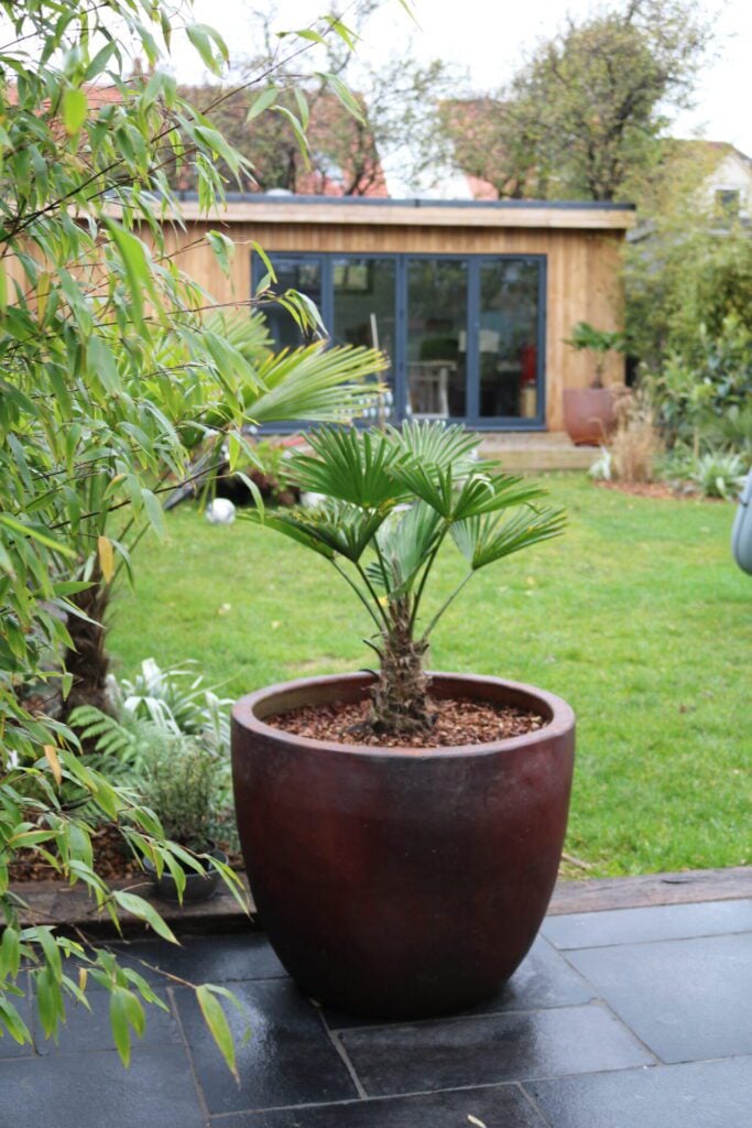 Pots Inspiration Mood Board