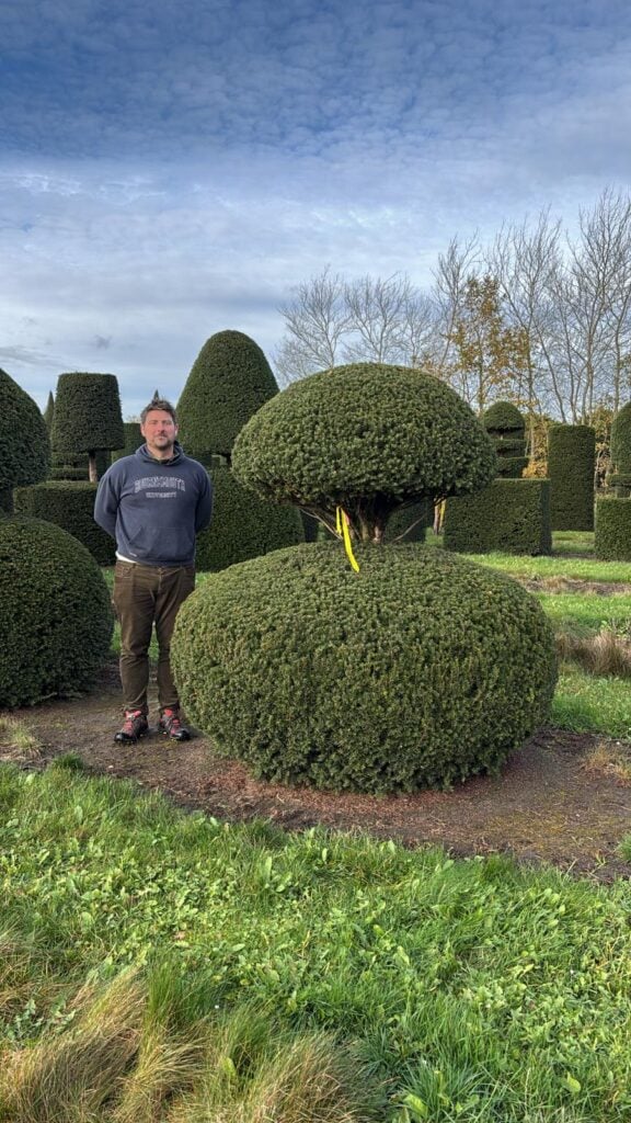 Topiary Inspiration Mood Board