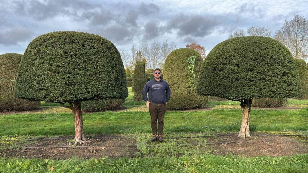 Topiary Inspiration Mood Board