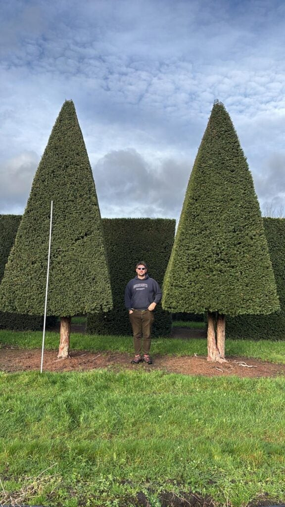 Topiary Inspiration Mood Board